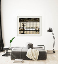Load image into Gallery viewer, The Aquatic Centre II