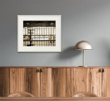 Load image into Gallery viewer, The Aquatic Centre II

